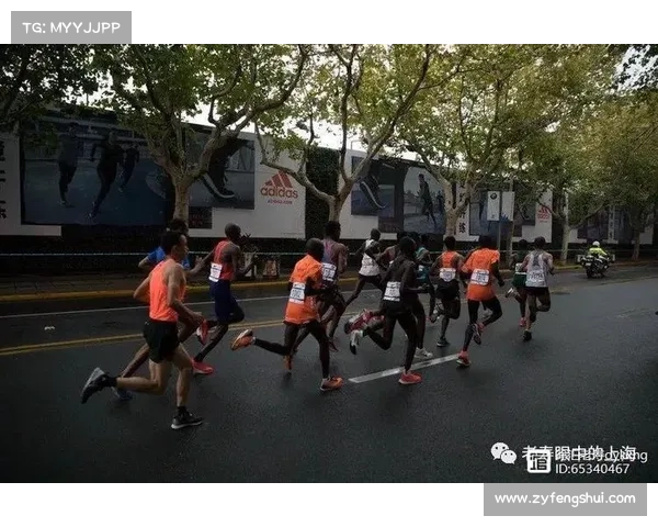 2017上海马拉松赛事-2018上海马拉松死亡事件