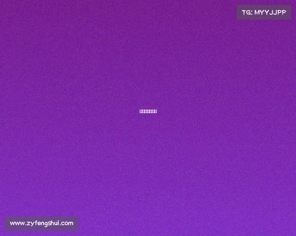 嘉定赛车场赛事