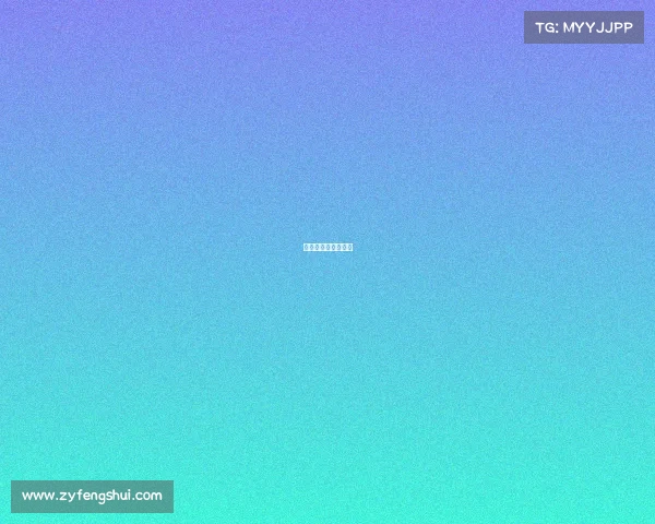 晋江最近有什么比赛