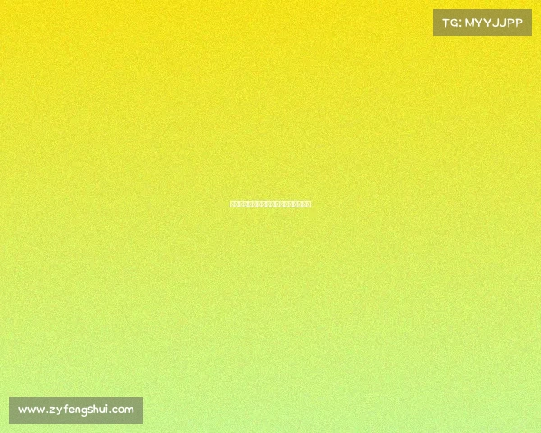 创新赛事观众组织管理实施方案优化策略 创新赛事观众组织管理实施方案优化策略