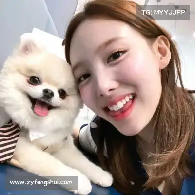 苗剑奇