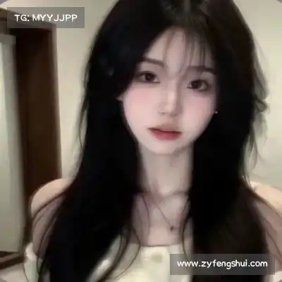 舒舜飚